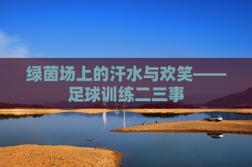 绿茵场上的汗水与欢笑——足球训练二三事