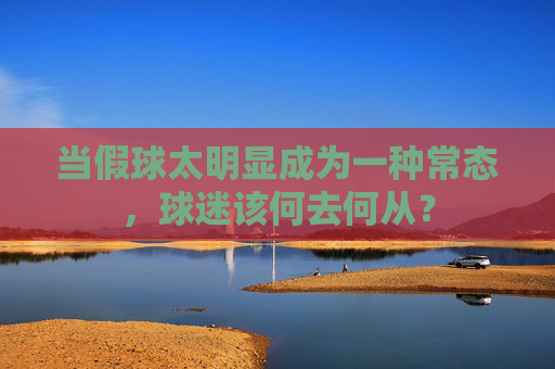 当假球太明显成为一种常态，球迷该何去何从？