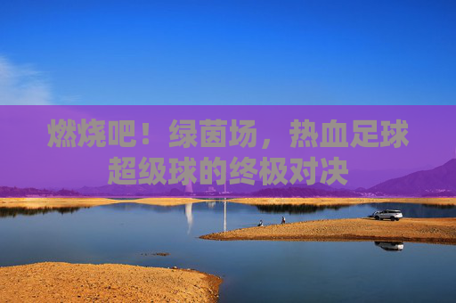 燃烧吧!绿茵场,热血足球超级球的终极对决