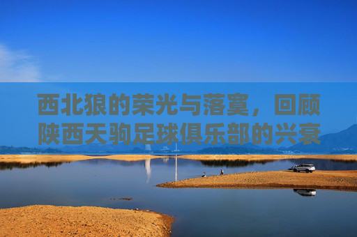 西北狼的荣光与落寞,回顾陕西天驹足球俱乐部的兴衰史