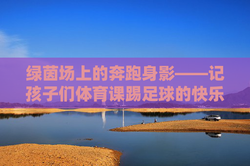 绿茵场上的奔跑身影——记孩子们体育课踢足球的快乐时光