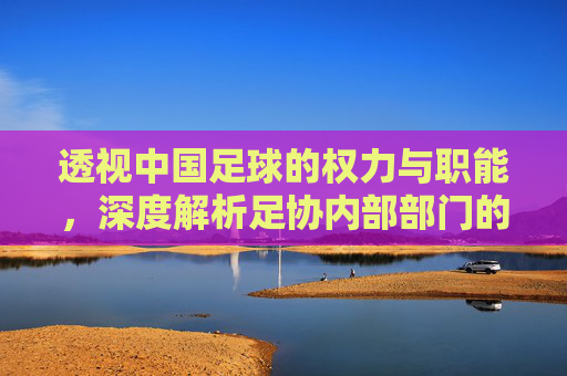 透视中国足球的权力与职能,深度解析足协内部部门的隐形排名