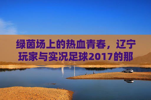 绿茵场上的热血青春,辽宁玩家与实况足球2017的那些日子