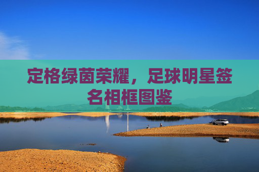 定格绿茵荣耀,足球明星签名相框图鉴