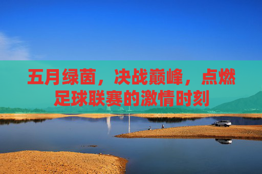 五月绿茵,决战巅峰,点燃足球联赛的激情时刻