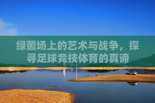 绿茵场上的艺术与战争,探寻足球竞技体育的真谛