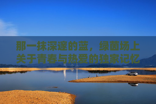 那一抹深邃的蓝,绿茵场上关于青春与热爱的独家记忆