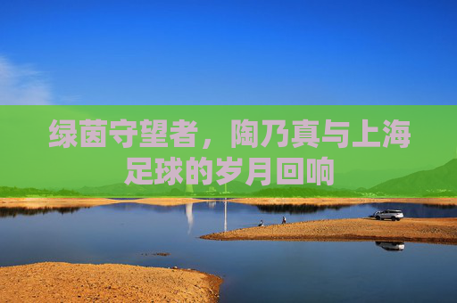 绿茵守望者,陶乃真与上海足球的岁月回响