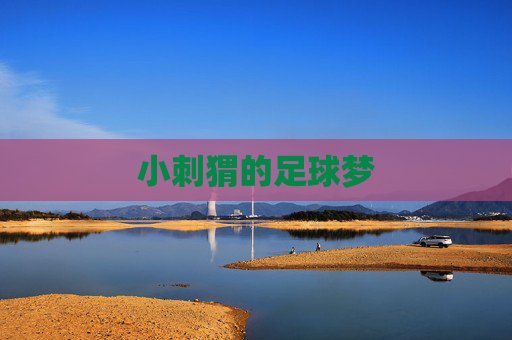 小刺猬的足球梦