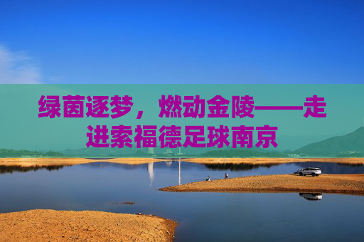 绿茵逐梦，燃动金陵——走进索福德足球南京
