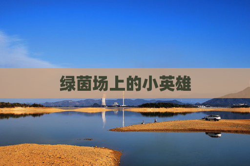 绿茵场上的小英雄