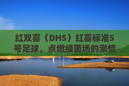 红双喜（DHS）红喜标准5号足球，点燃绿茵场的激情之选