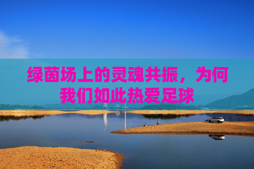 绿茵场上的灵魂共振,为何我们如此热爱足球
