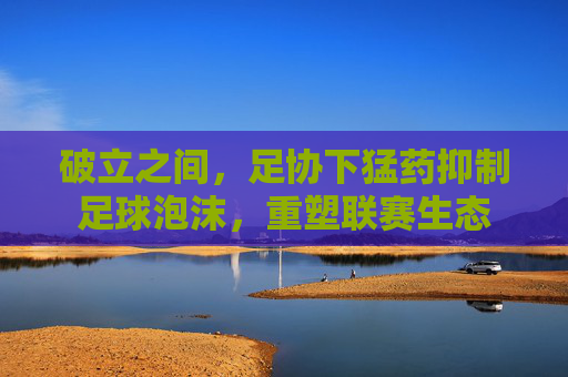 破立之间,足协下猛药抑制足球泡沫,重塑联赛生态