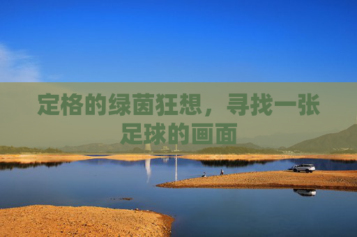 定格的绿茵狂想,寻找一张足球的画面