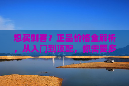 想买刺客?正品价格全解析,从入门到顶配,你需要多少钱?