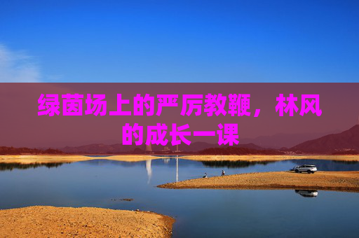 绿茵场上的严厉教鞭,林风的成长一课