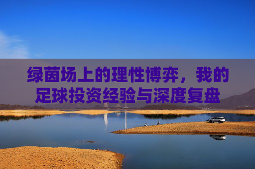 绿茵场上的理性博弈,我的足球投资经验与深度复盘