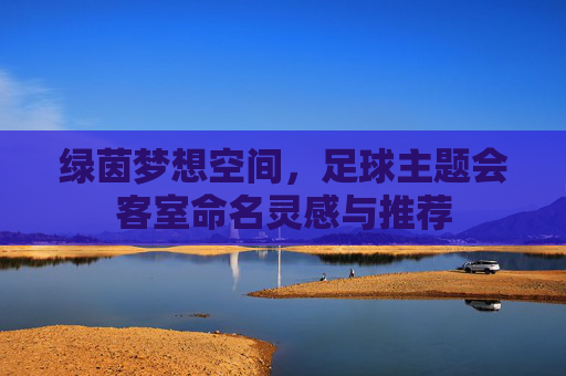 绿茵梦想空间，足球主题会客室命名灵感与推荐