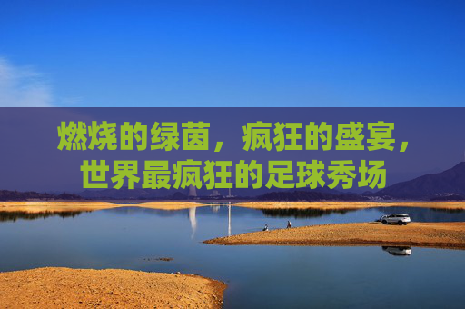 燃烧的绿茵,疯狂的盛宴,世界最疯狂的足球秀场