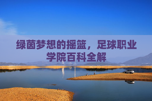 绿茵梦想的摇篮,足球职业学院百科全解