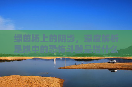 绿茵场上的阴影，深度解析足球中的恐怖斗殴是指什么