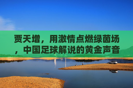 贾天增，用激情点燃绿茵场，中国足球解说的黄金声音