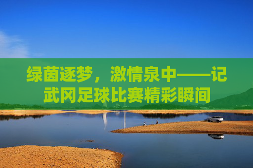 绿茵逐梦，激情泉中——记武冈足球比赛精彩瞬间
