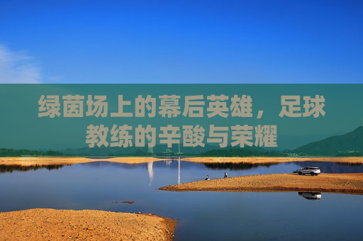 绿茵场上的幕后英雄，足球教练的辛酸与荣耀