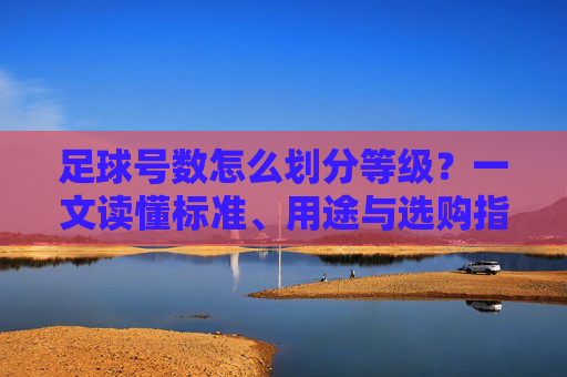 足球号数怎么划分等级？一文读懂标准、用途与选购指南