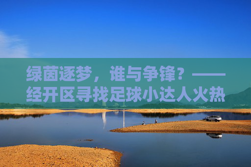 绿茵逐梦，谁与争锋？——经开区寻找足球小达人火热进行中