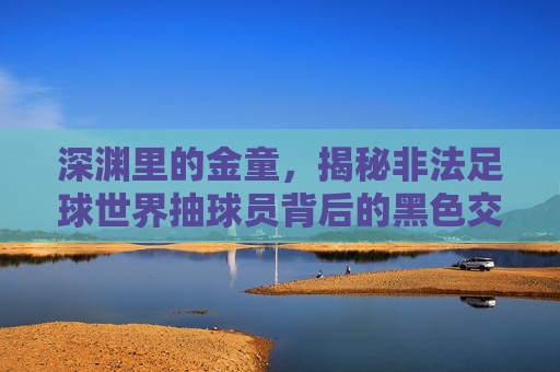 深渊里的金童,揭秘非法足球世界抽球员背后的黑色交易与疯狂博弈