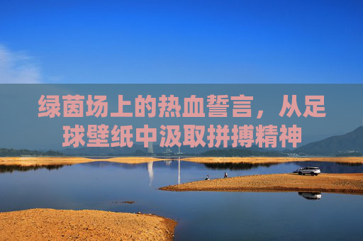绿茵场上的热血誓言,从足球壁纸中汲取拼搏精神