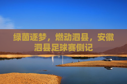 绿茵逐梦,燃动泗县,安徽泗县足球赛侧记