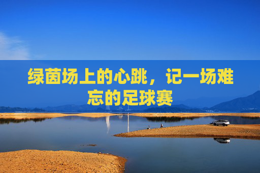 绿茵场上的心跳,记一场难忘的足球赛