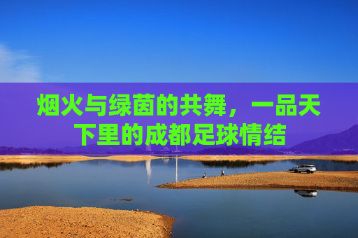 烟火与绿茵的共舞,一品天下里的成都足球情结