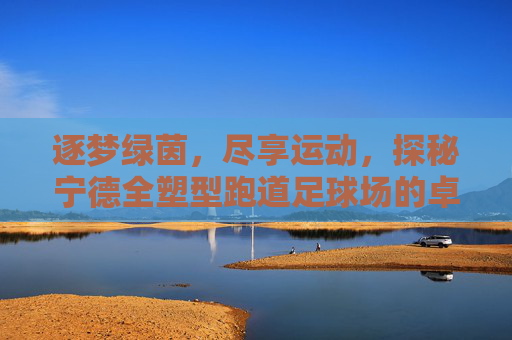 逐梦绿茵,尽享运动,探秘宁德全塑型跑道足球场的卓越体验