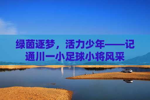 绿茵逐梦,活力少年——记通川一小足球小将风采