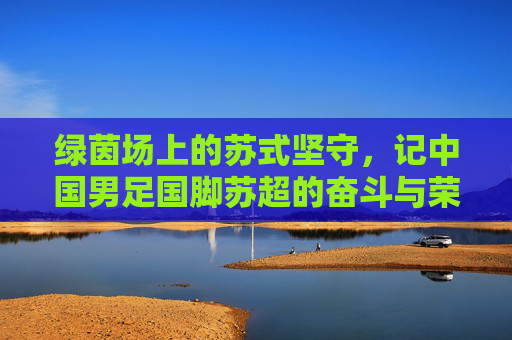 绿茵场上的苏式坚守,记中国男足国脚苏超的奋斗与荣光