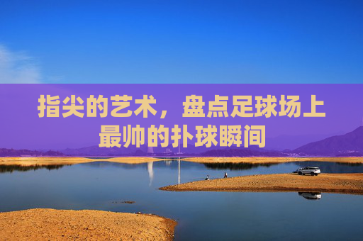 指尖的艺术，盘点足球场上最帅的扑球瞬间