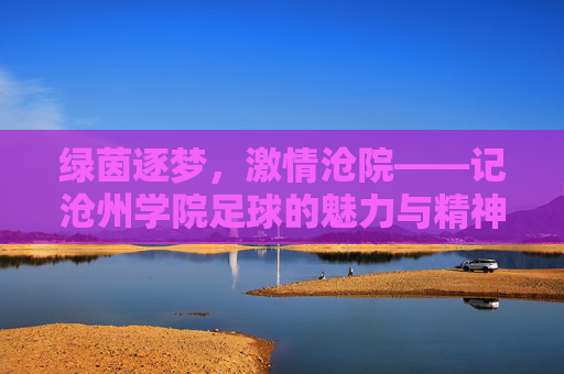 绿茵逐梦,激情沧院——记沧州学院足球的魅力与精神