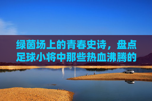 绿茵场上的青春史诗,盘点足球小将中那些热血沸腾的球队