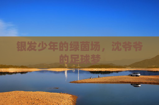 银发少年的绿茵场，沈爷爷的足球梦