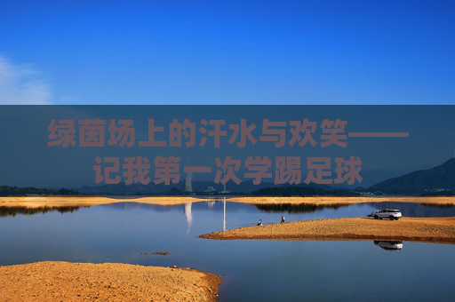 绿茵场上的汗水与欢笑——记我第一次学踢足球