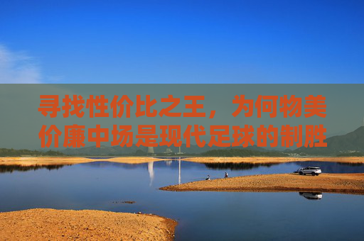 寻找性价比之王，为何物美价廉中场是现代足球的制胜法宝