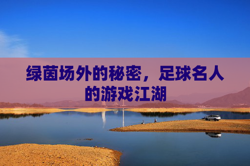 绿茵场外的秘密，足球名人的游戏江湖