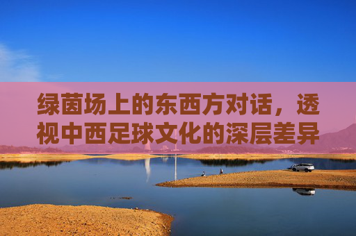 绿茵场上的东西方对话,透视中西足球文化的深层差异