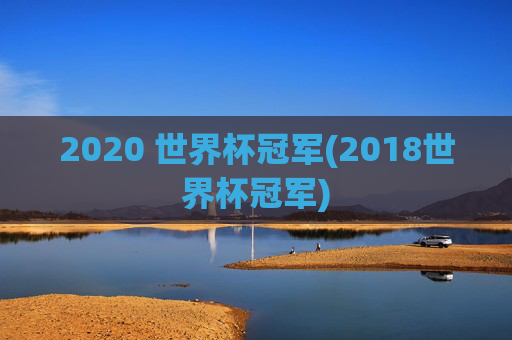 2020 世界杯冠军(2018世界杯冠军)