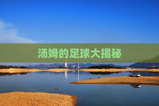 汤姆的足球大揭秘