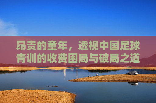 昂贵的童年,透视中国足球青训的收费困局与破局之道